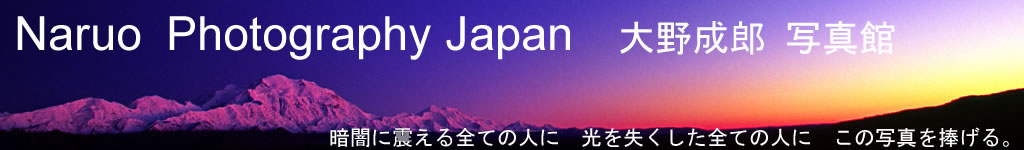 画像アラスカ夕陽